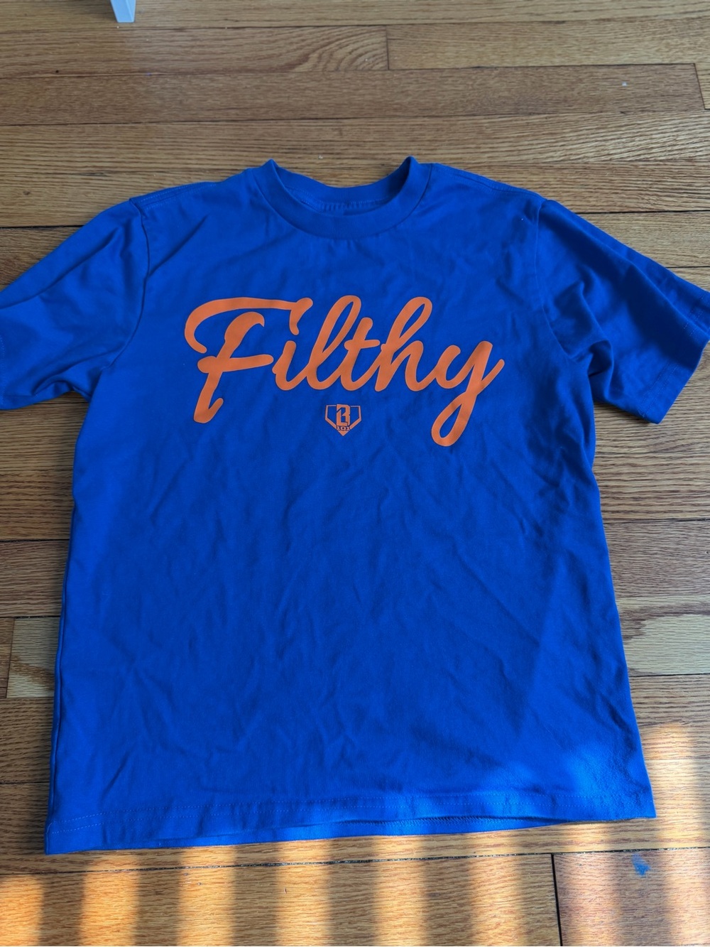 Baseball Lifestyle 101 Youth Medium “Filthy” Orange & Blue T Shirt Worn Once